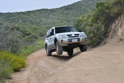 DSC_6856 (Large).JPG